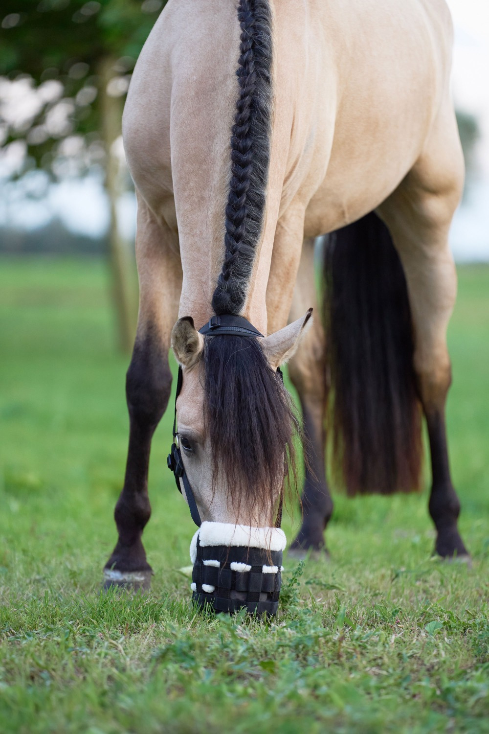 Imperial Riding SS25 Grazing Mask Fur