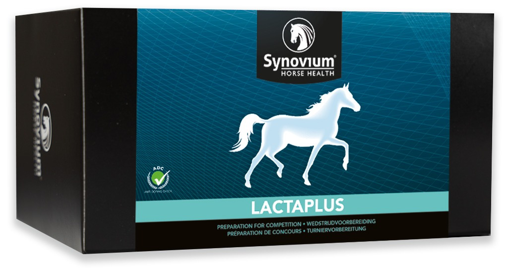 Synovium Lacta Plus 6x 40g