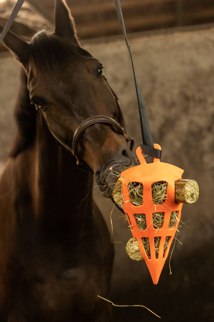 Lax Hay/Vegetable Nibble Block for Horses