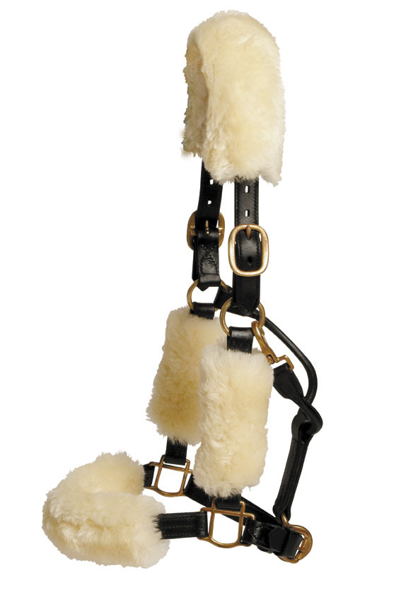 LeMieux lambskin headcollar sets