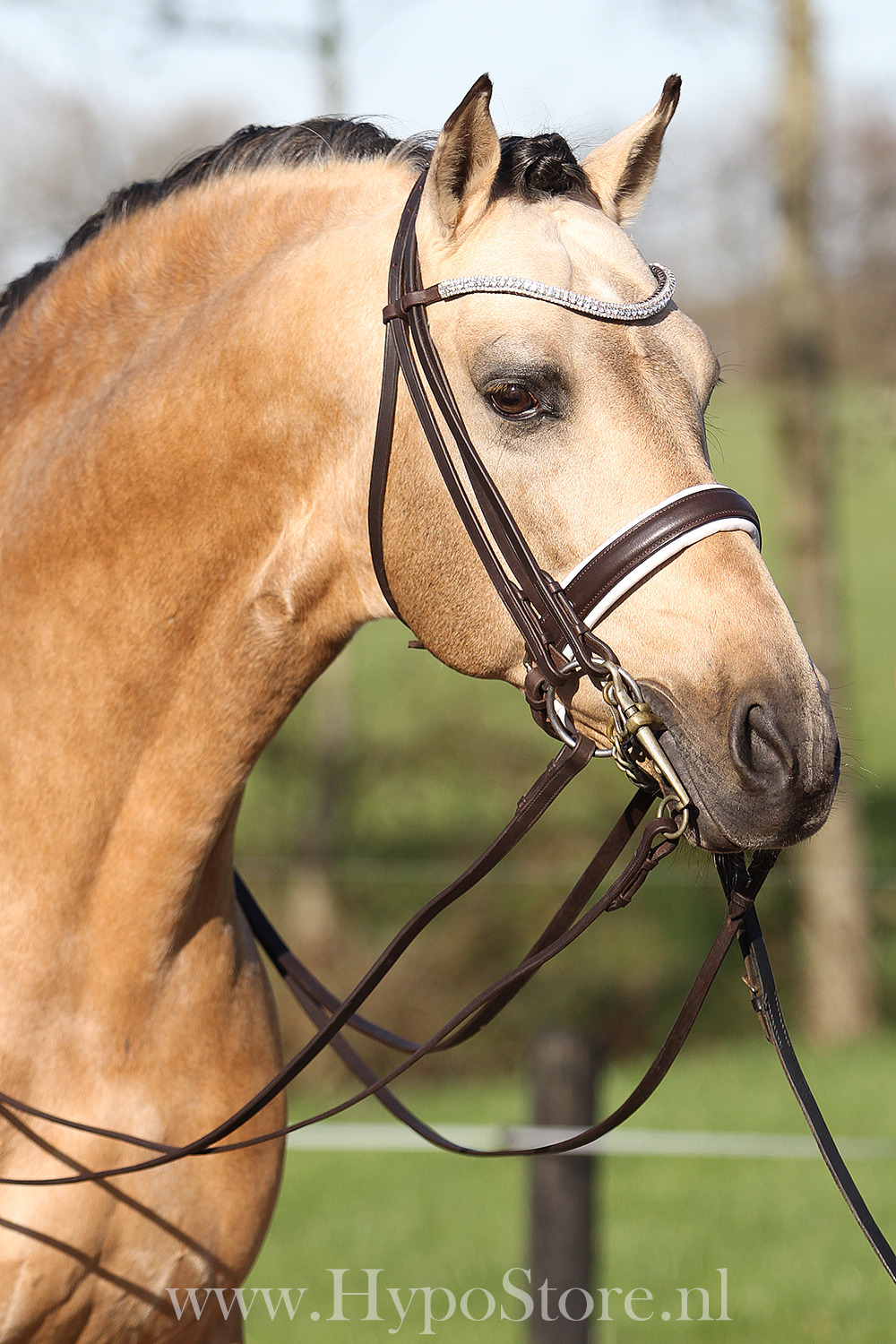 Premiera "Levanto" Brown/White padded double bridle with bling browband