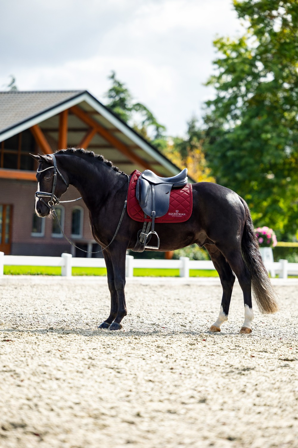 Equestroam Stockholm Line Bordeaux Dressage Saddle Pad