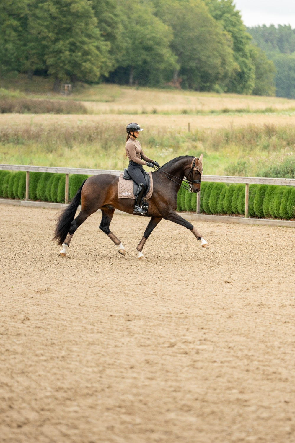 Equestrian Stockholm Line Champagne Dressage Pad