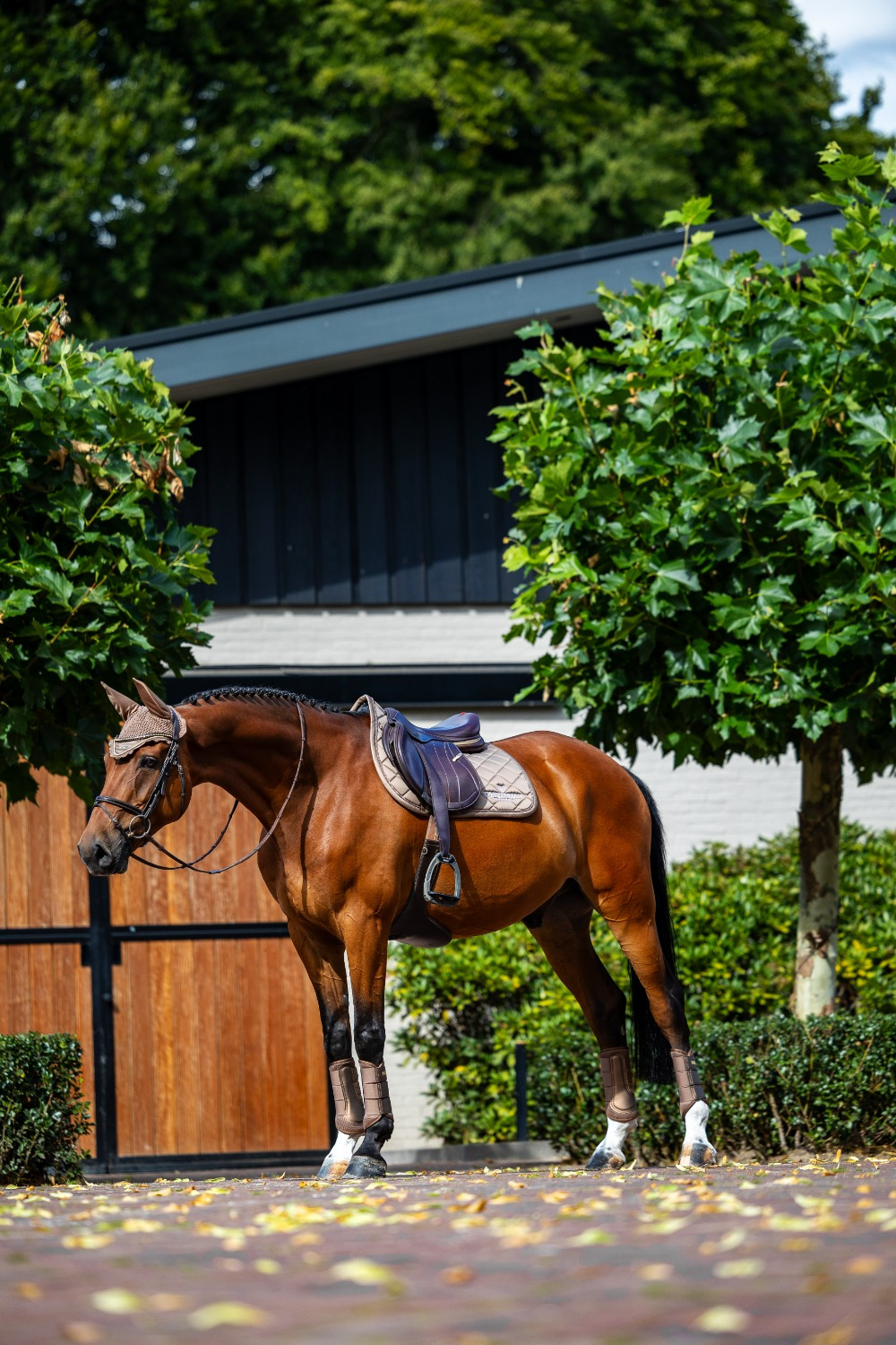 Equestrian Stockholm Line Champagne Jump Pad