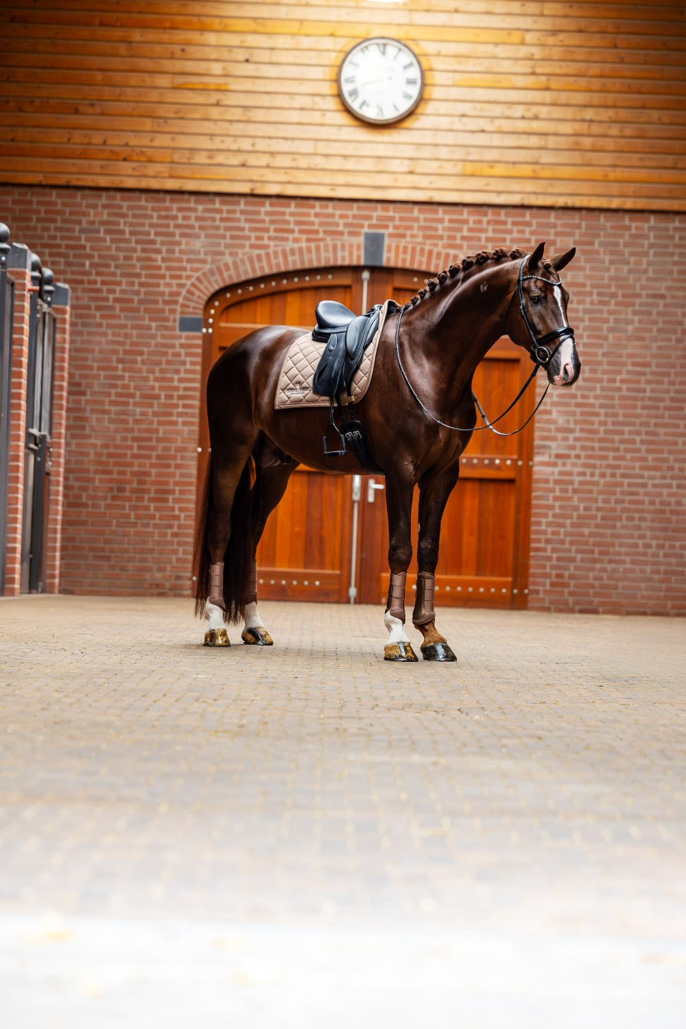 Equestrian Stockholm Champagne Classic Mesh Brushing Boots
