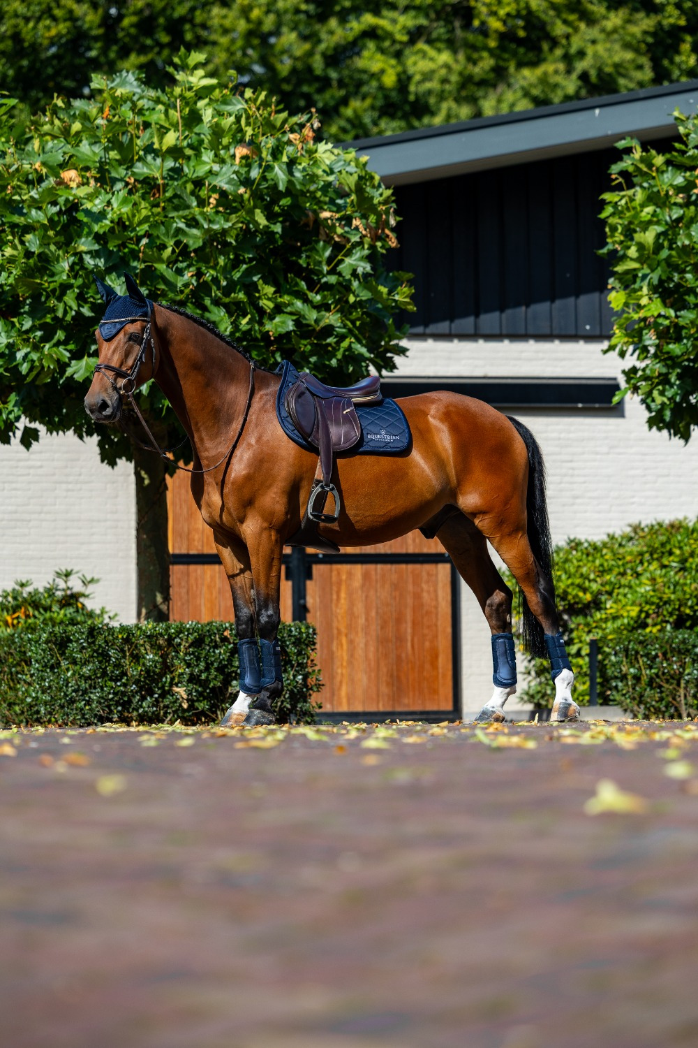 Equestrian Stockholm Line Midnight Blue Jump Pad