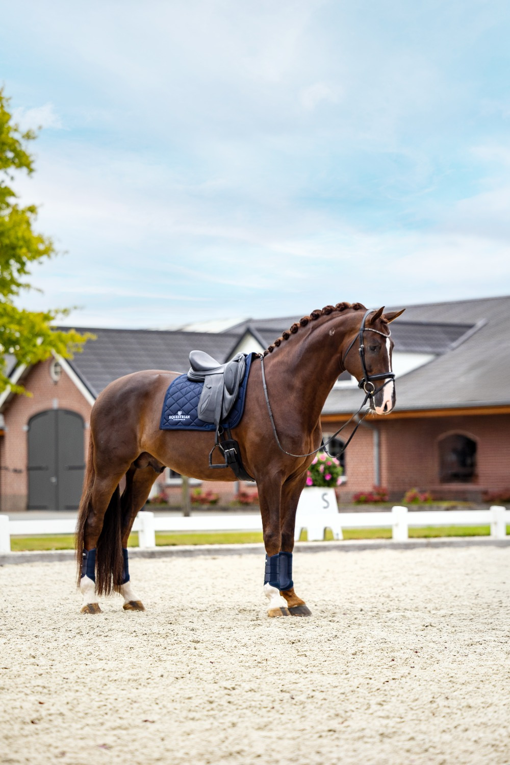 Equestrian Stockholm Line Midnight Blue Dressage Pad