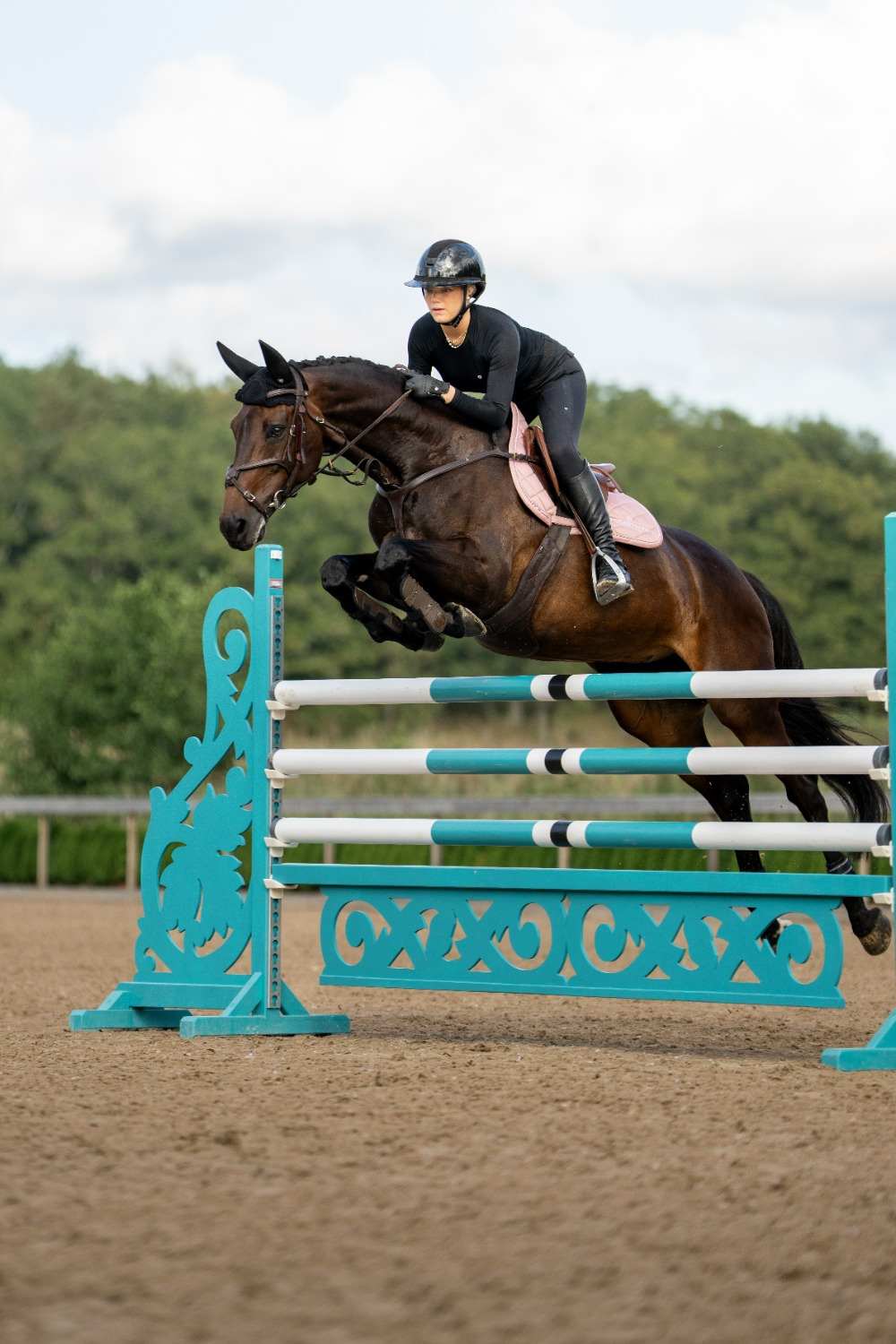 Equestrian Stockholm Line Pink Jump Pad
