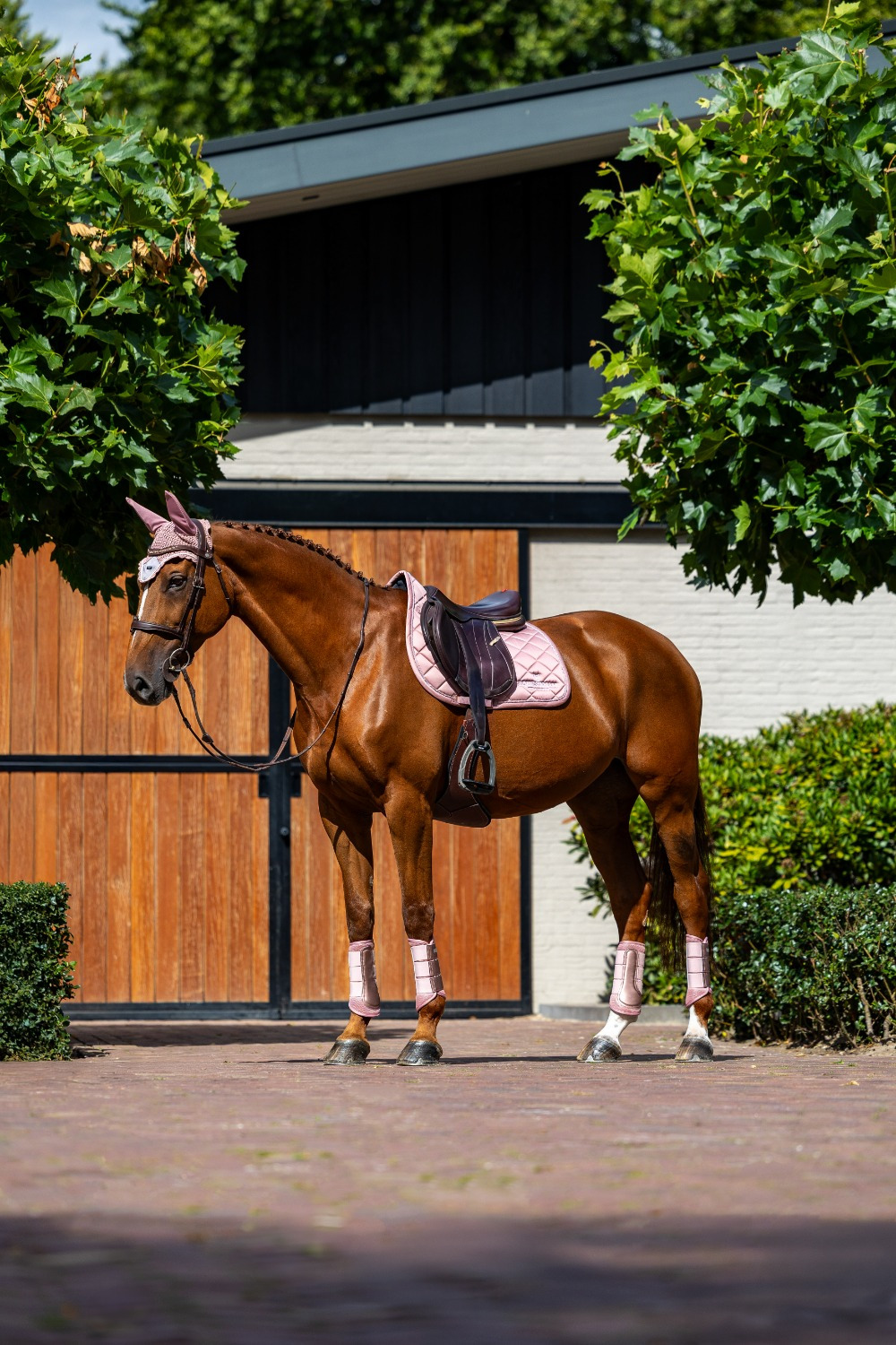 Equestrian Stockholm Pink Classic Mesh Brushing Boots