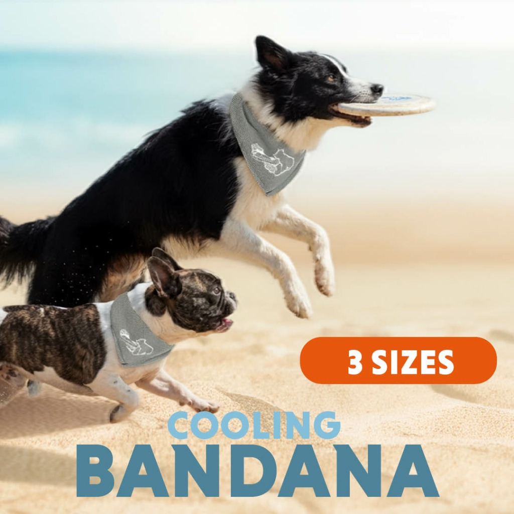 Hofman CoolPets Kühlendes Bandana