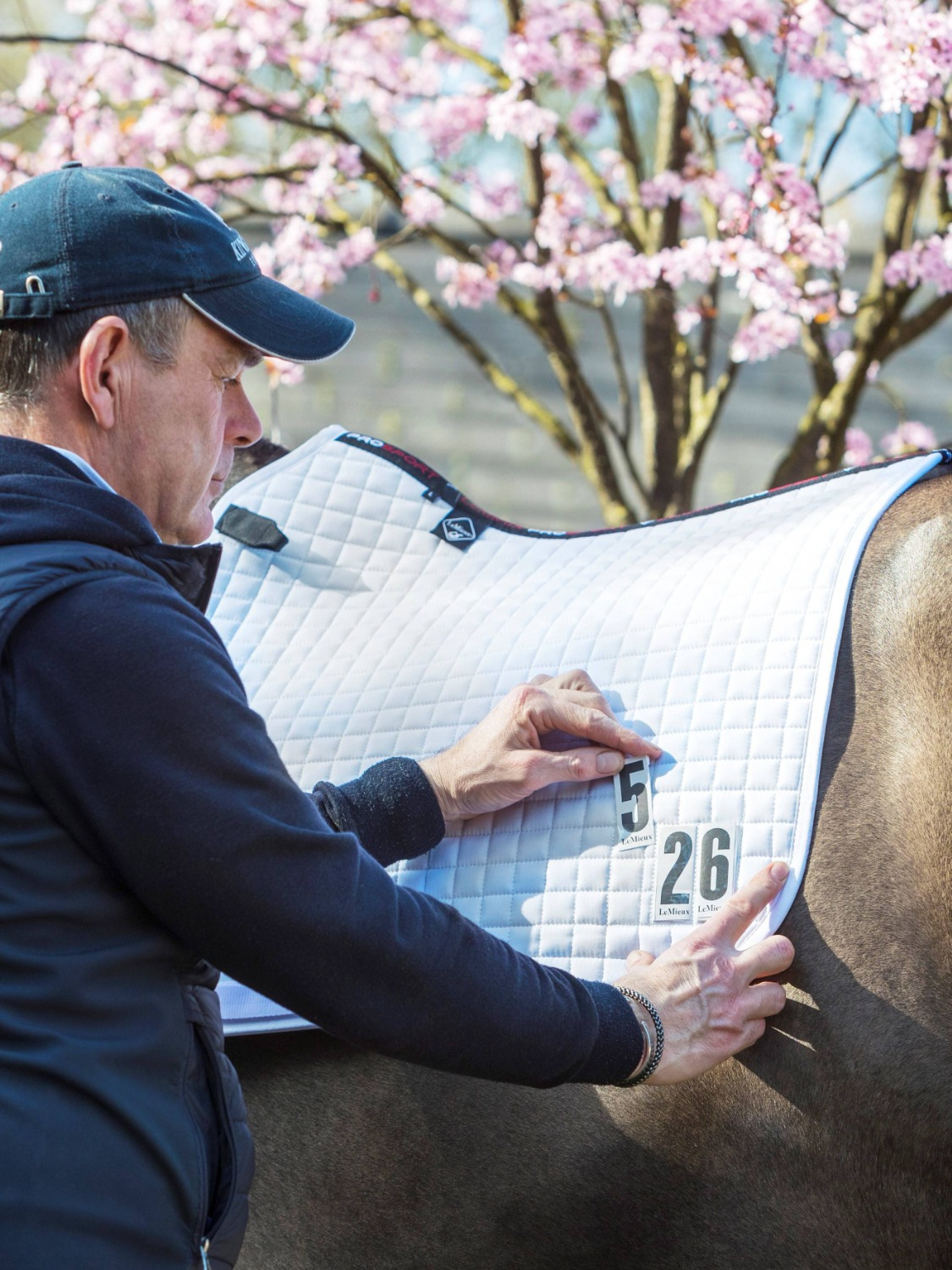 LeMieux Pro-Sport Competition Square white cotton saddlepad