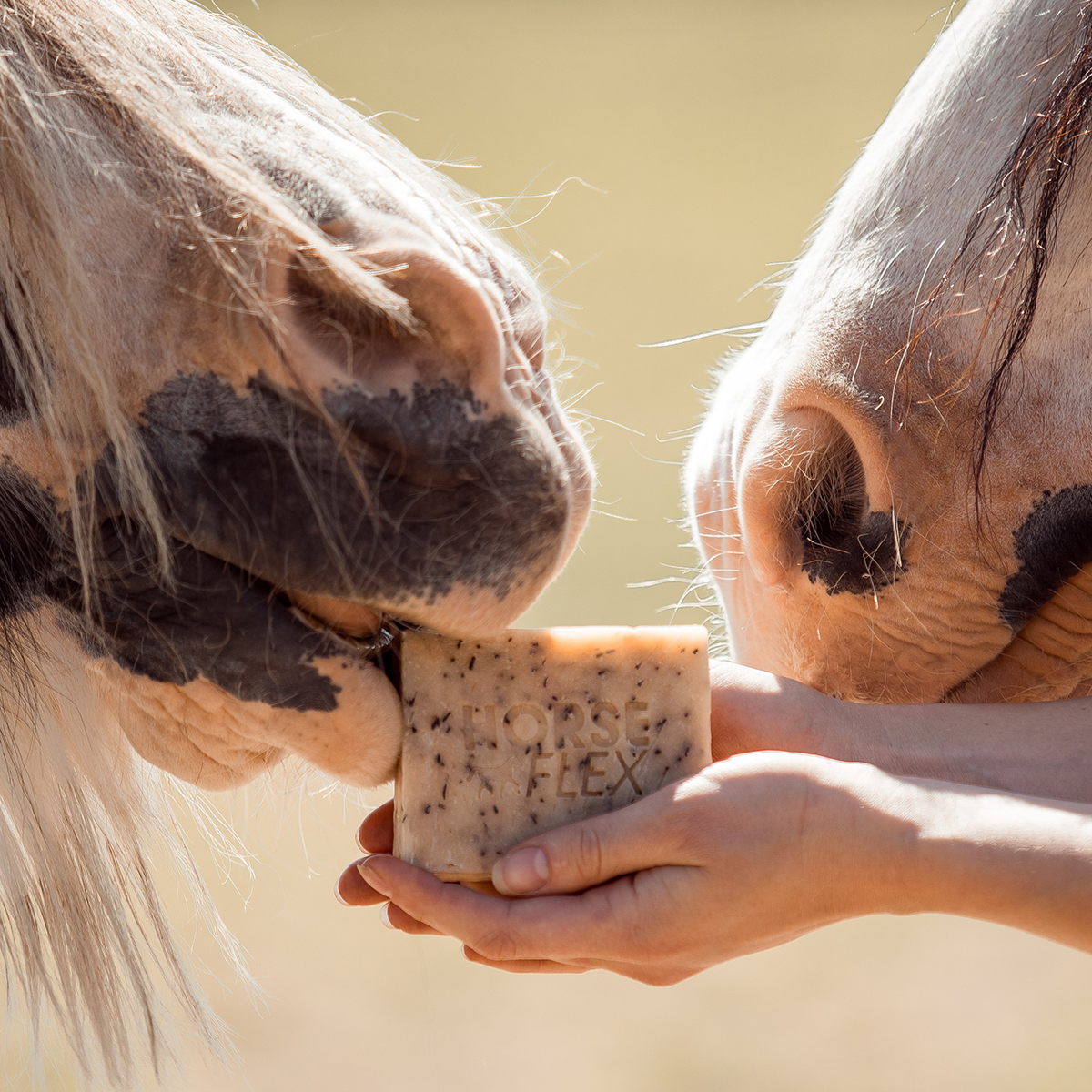 HorseFlex Magnesium & Rosemary shampoo bar