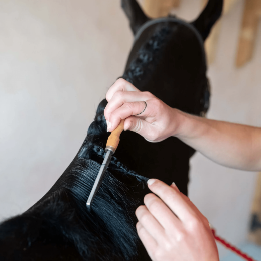 Smart Grooming Mane Comb