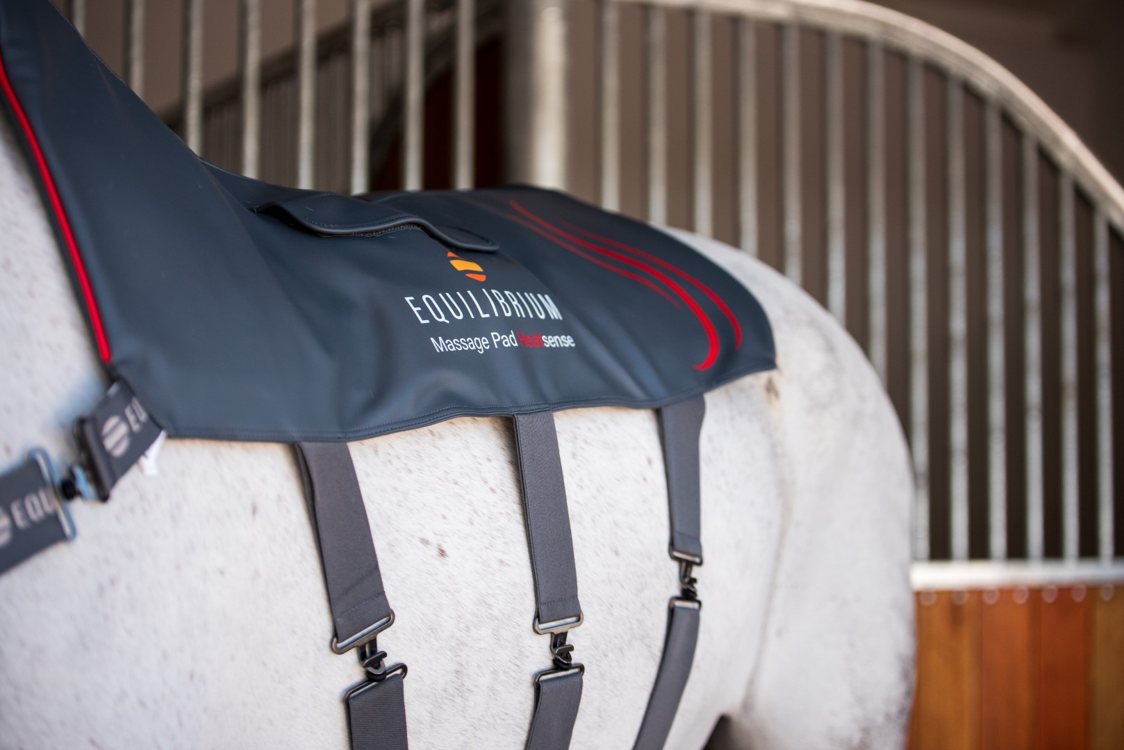 Equilibrium Heatsense Massage Pad