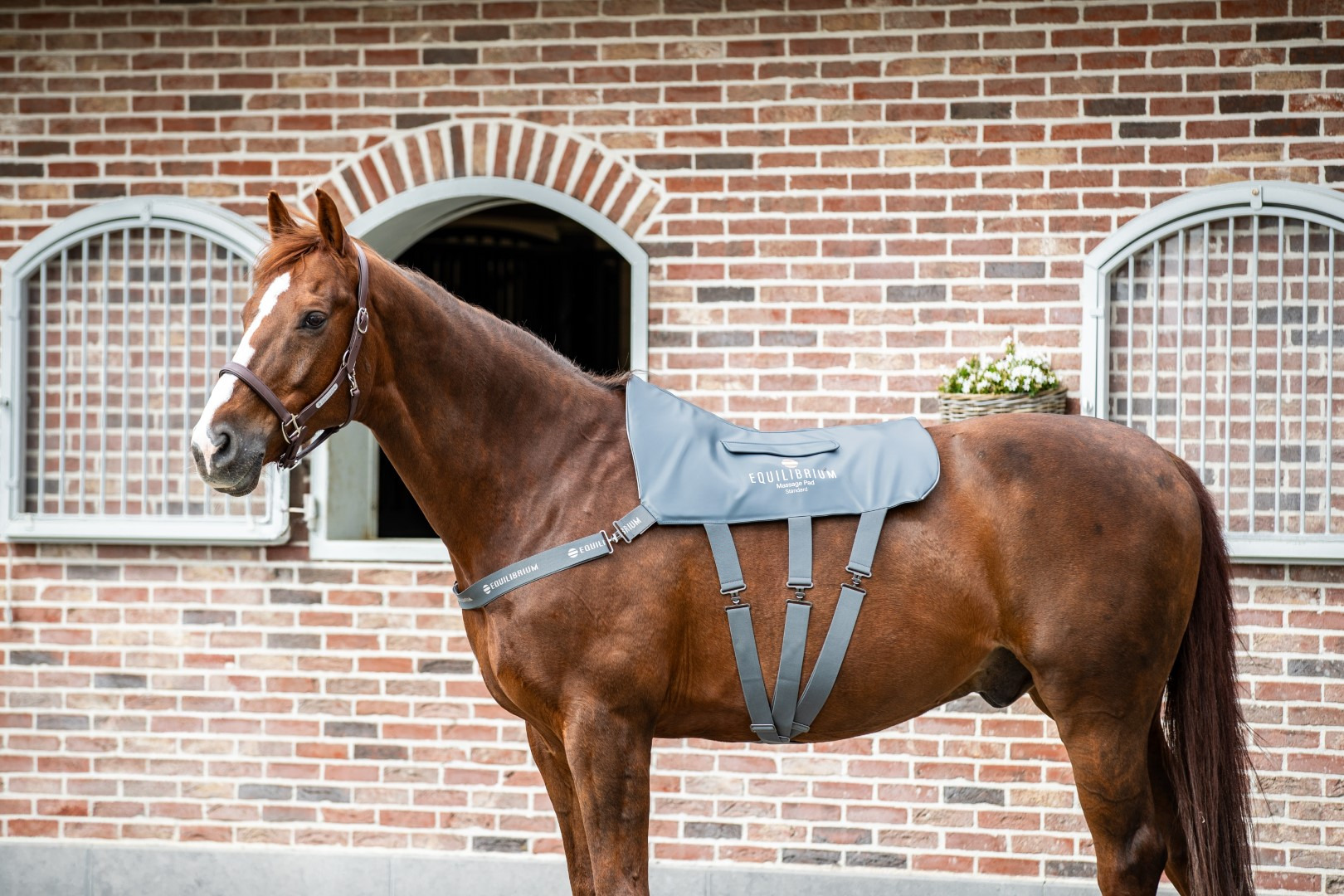 Equilibrium Massage Pad
