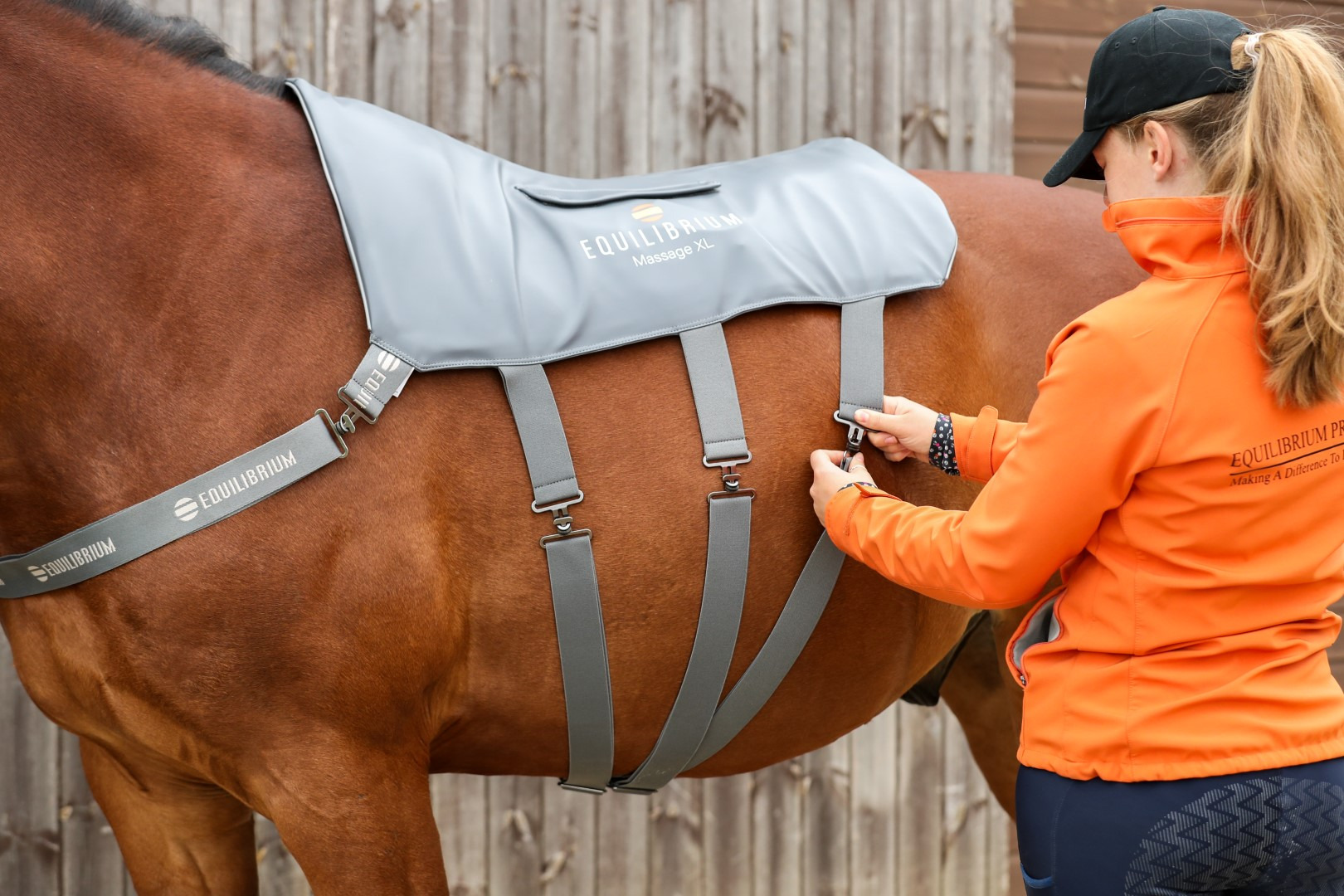 Equilibrium Massage Pad