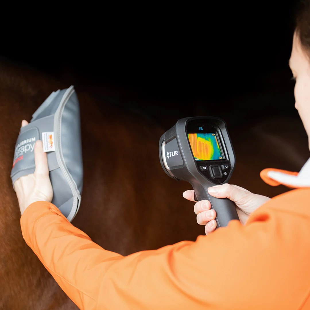 Equilibrium Hotspot Massage Mitt