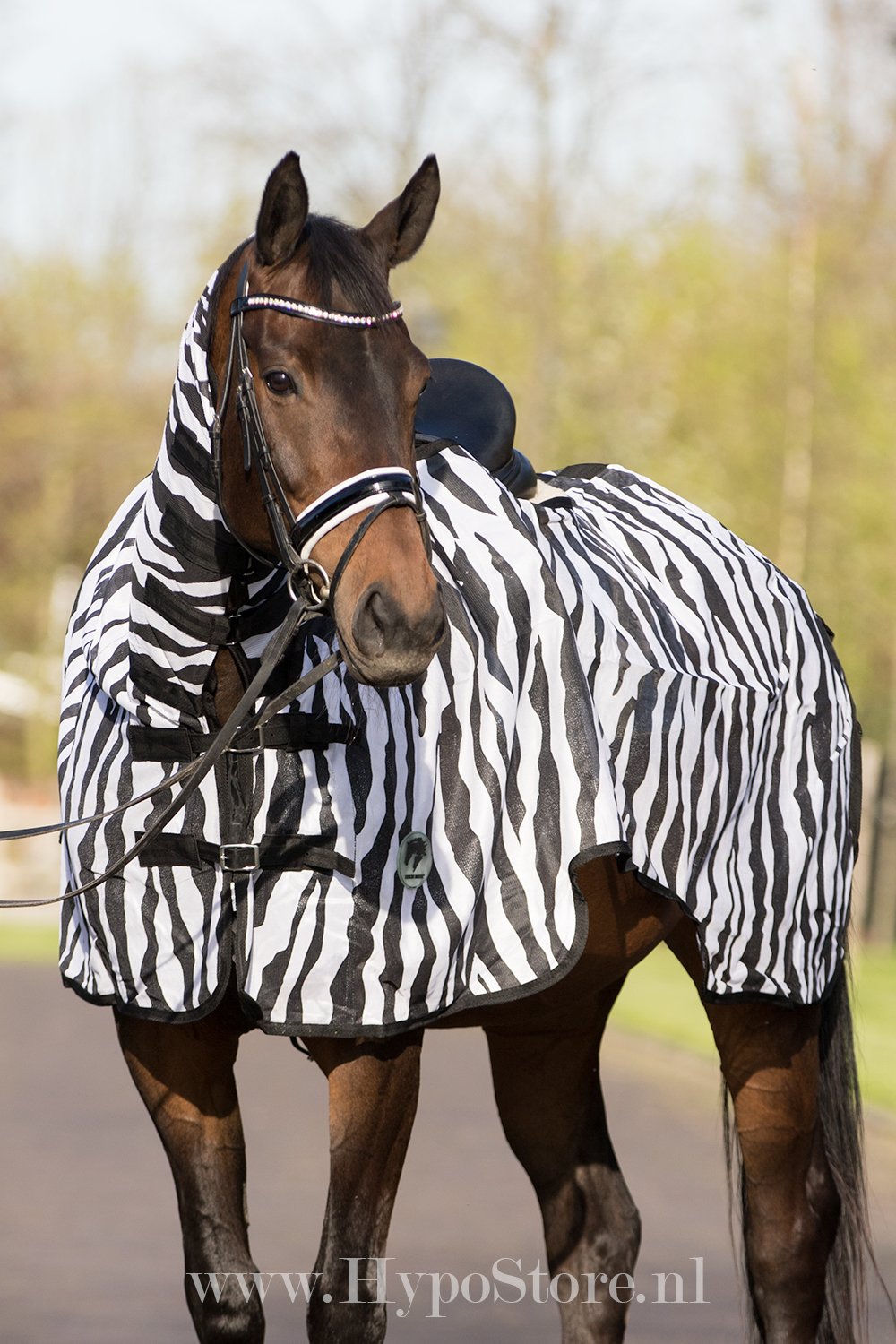 MASTER Zebra Exercise Riding Rug with Neck
