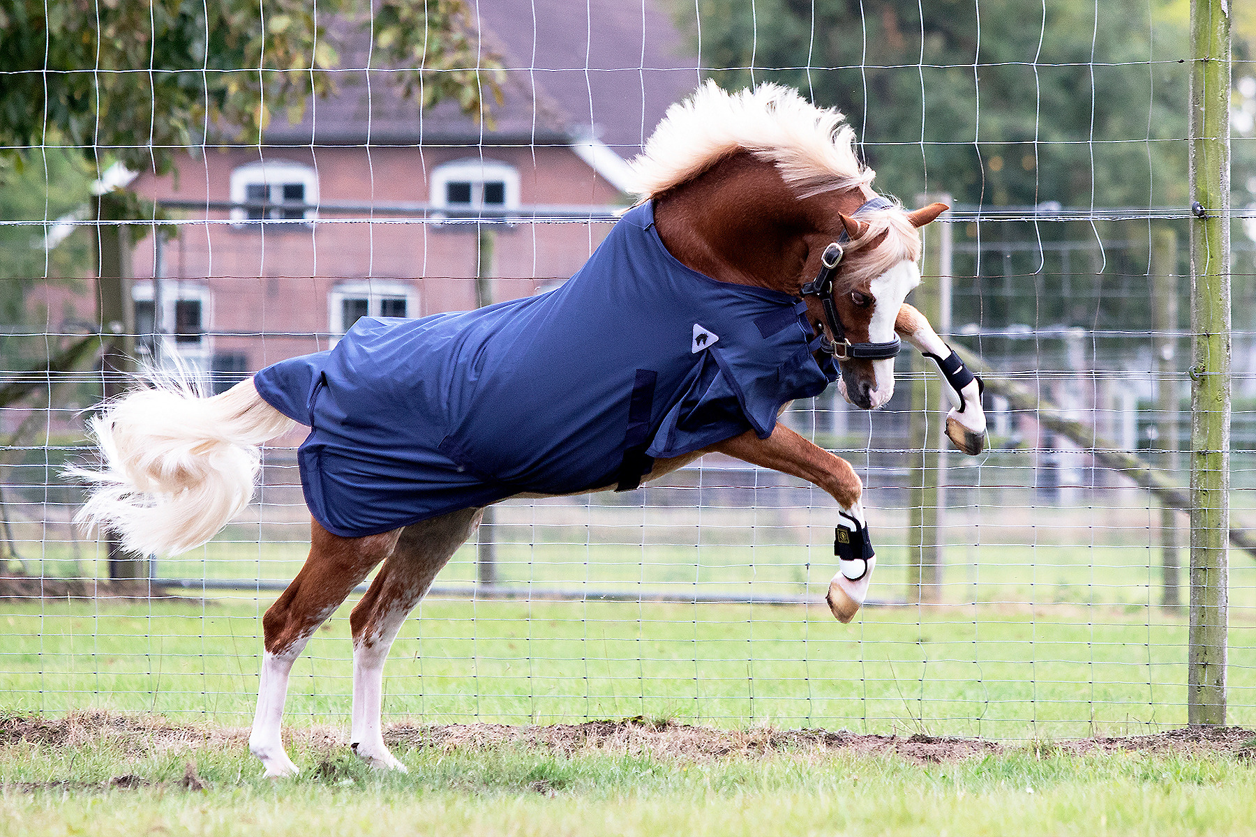 MASTER Softshell Blanket