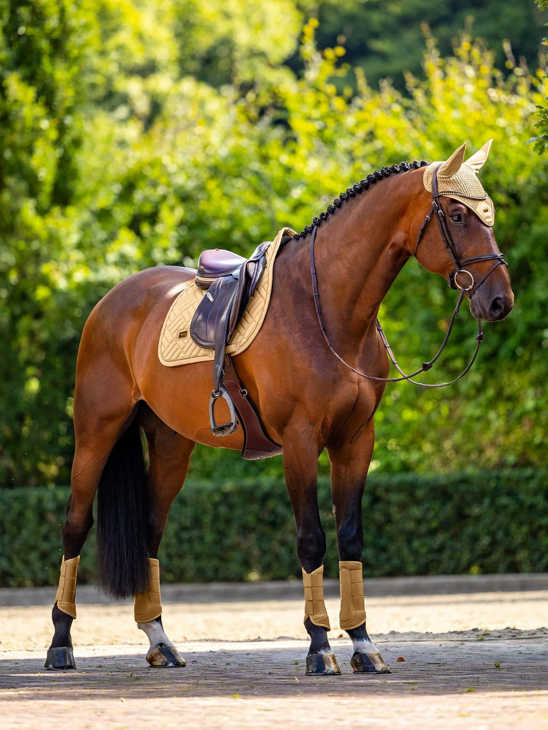 Equestrian Stockholm Midsummer Glow Modern Jump Pad