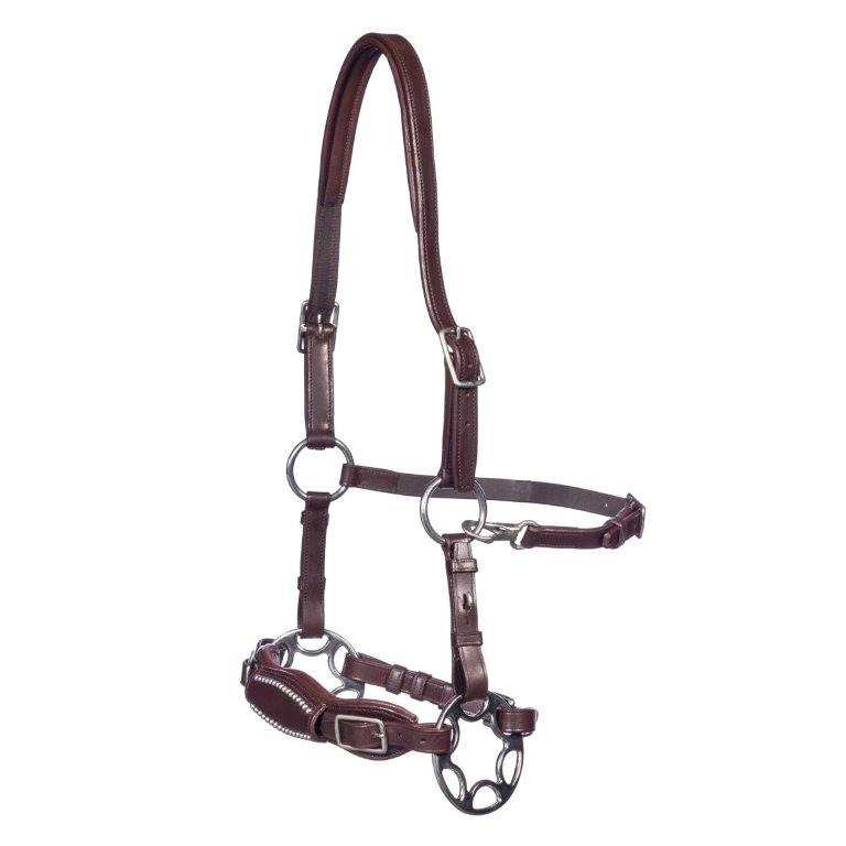 F.R.A. Hackamore Zaumzeug Miranti