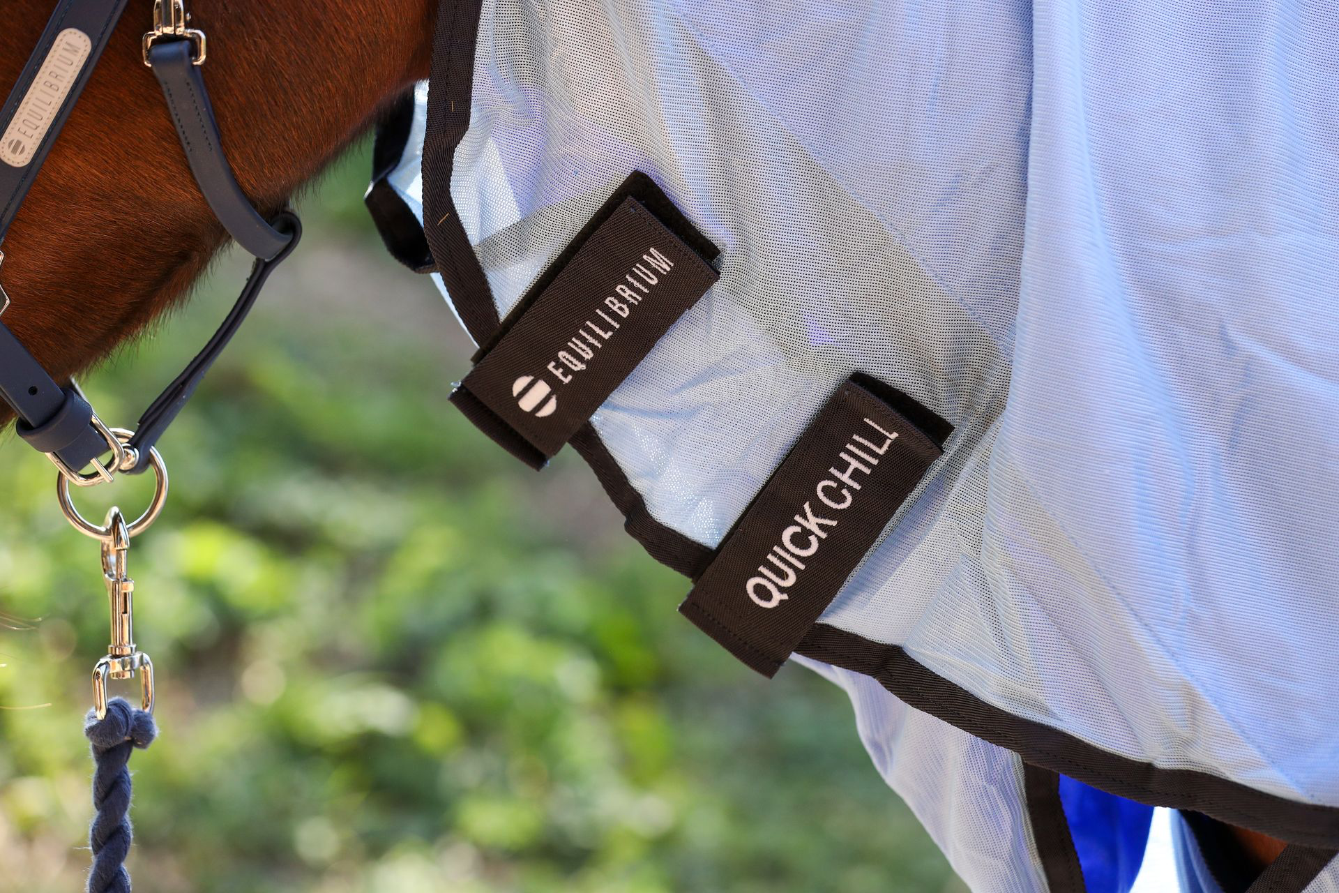 Equilibrium Quick Chill Blanket Neck V26