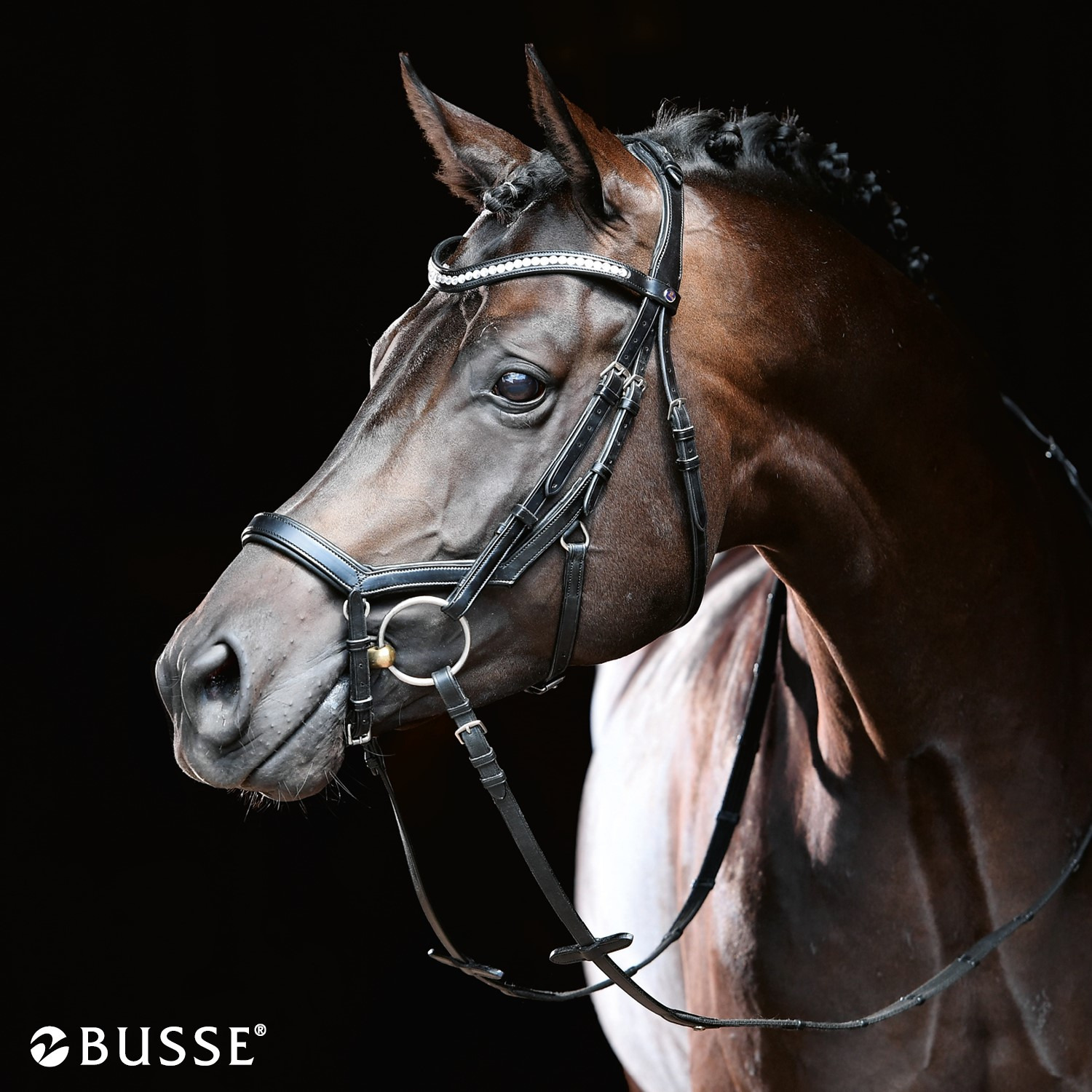 Busse hoofdstel Modena