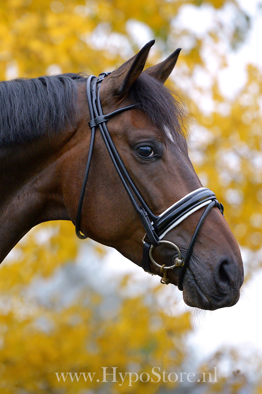 Premiera ''Monaco'' Black Round-Stitched Bridle with White Padded Patent Noseband, Silver Fittings