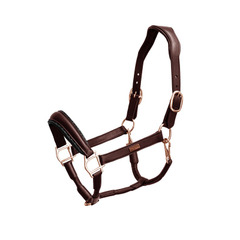 Equestrian Stockholm FW'23 Moonless Night licol en cuir