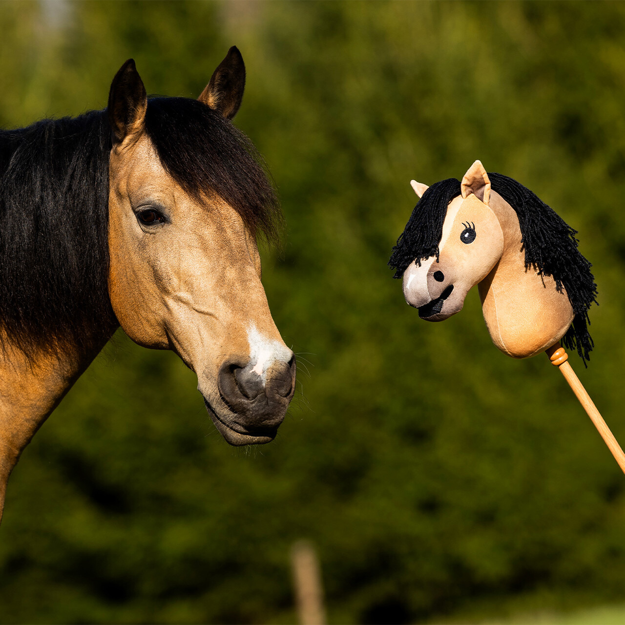 Nalanta Steckenpferd Hobby Horse Gaio