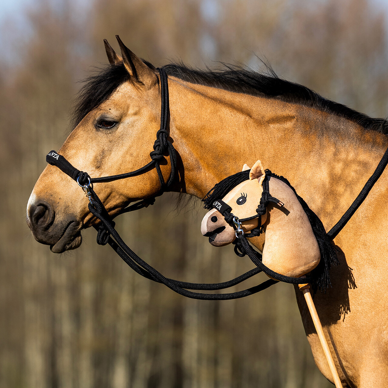 Nalanta Knotenhalfter mit Zügel Hobby Horse