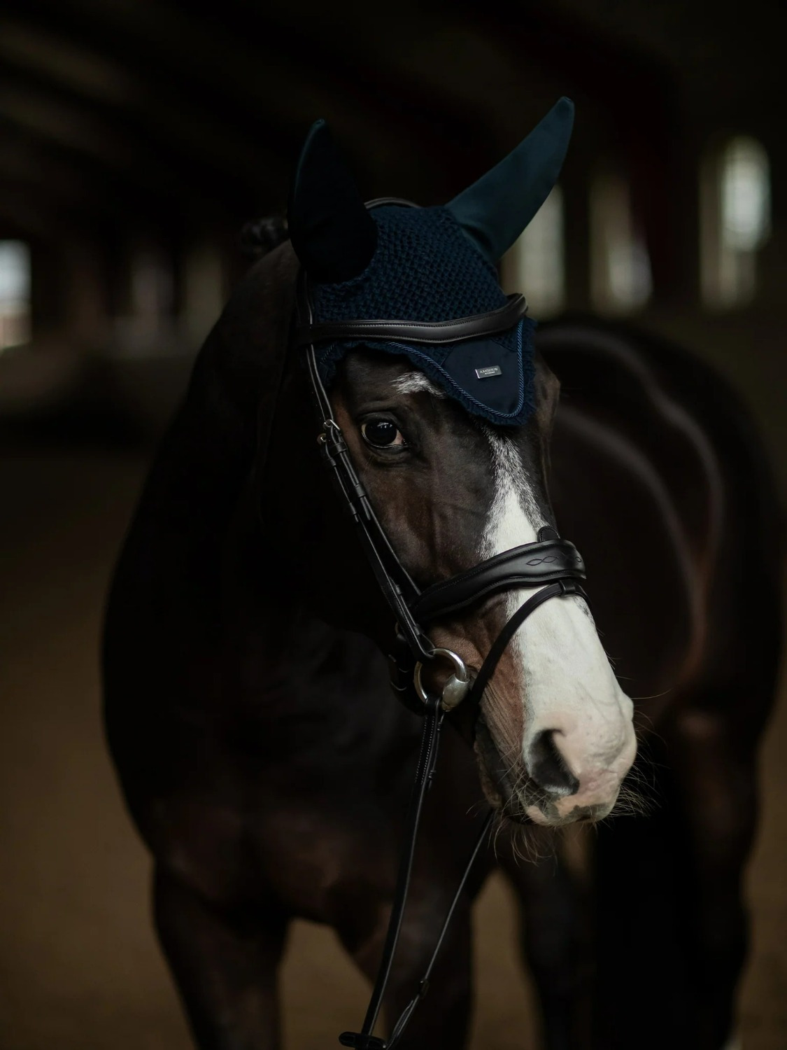 Equestrian Stockholm Navy Silver Soundless Ear Bonnet