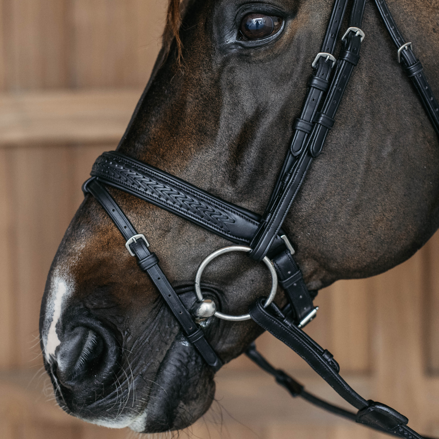 Dyon Geflochtene Trense mit schwedischen Reithalfter New English Collection