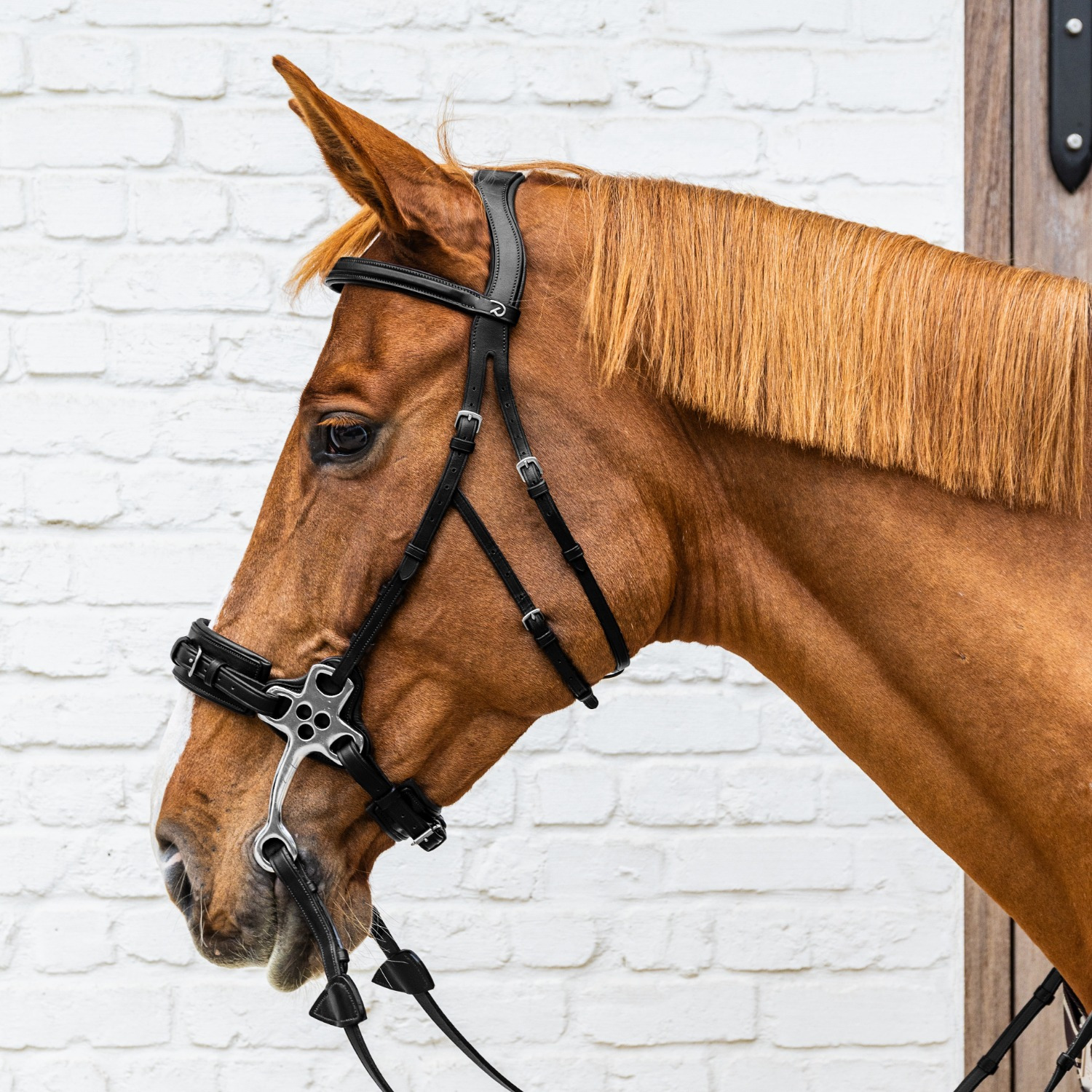 Dyon Hackamore Hoofdstel New English Collection