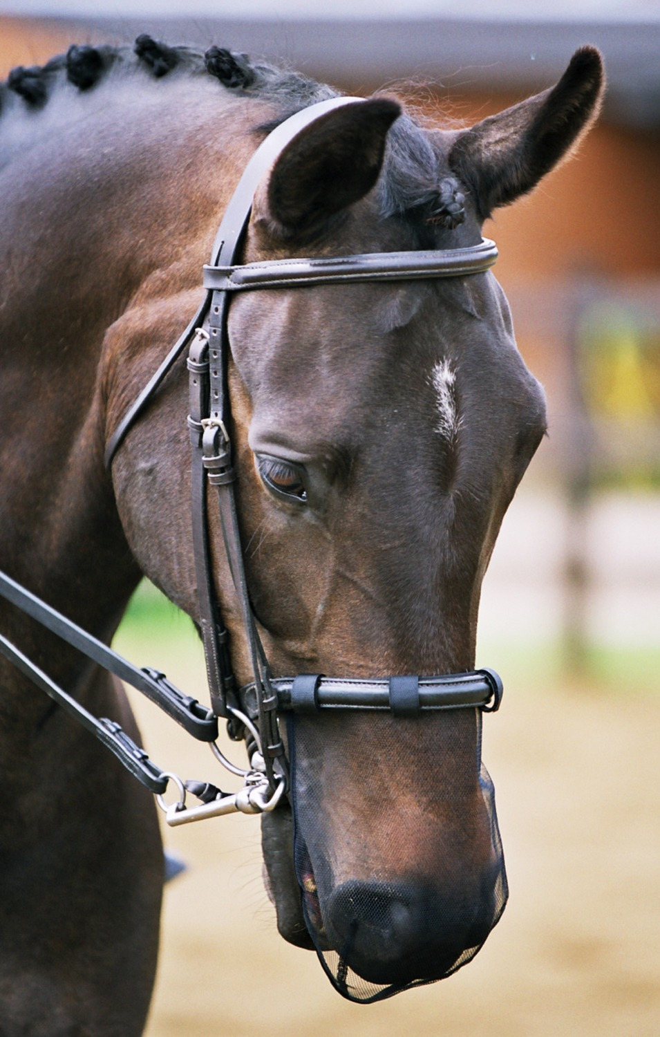 Equilibrium Nose Net Net Relief Muzzle (2-Pack)