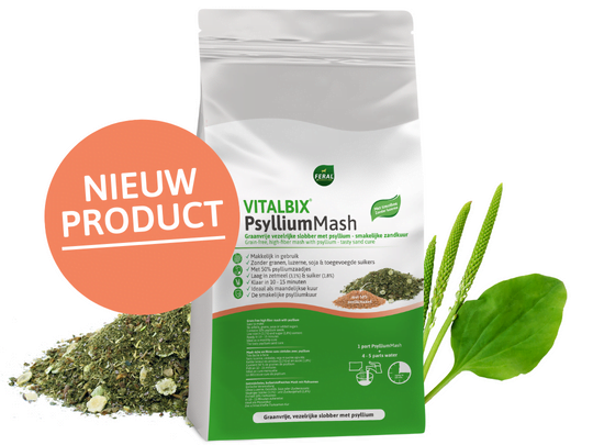 Vitalbix PsylliumMash 6KG