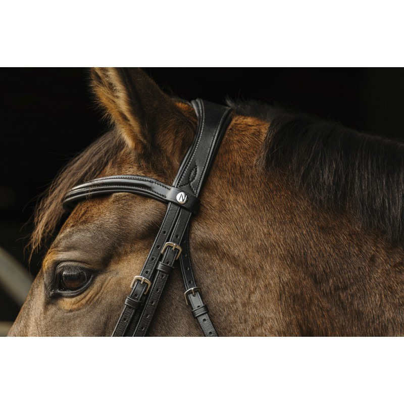 Norton 'Basal' Bridle