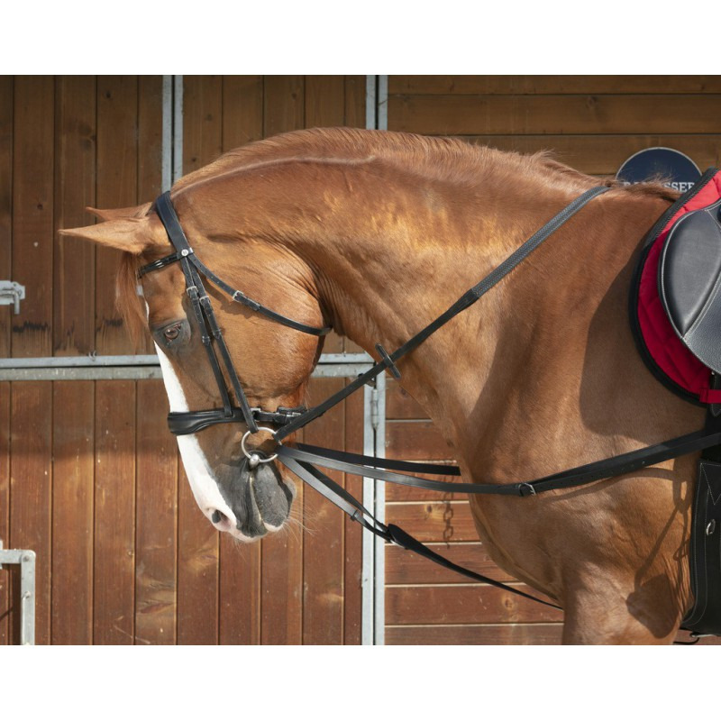 Norton Pro Vienna Side Reins