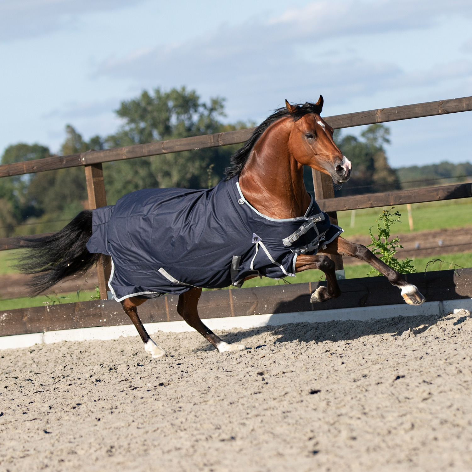 Master Outdoor Rug 600D 0g Navy