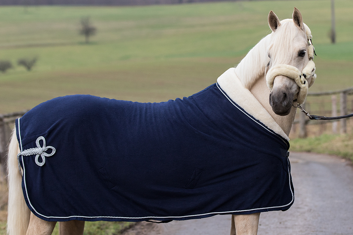 MASTER Show Rug with Collar