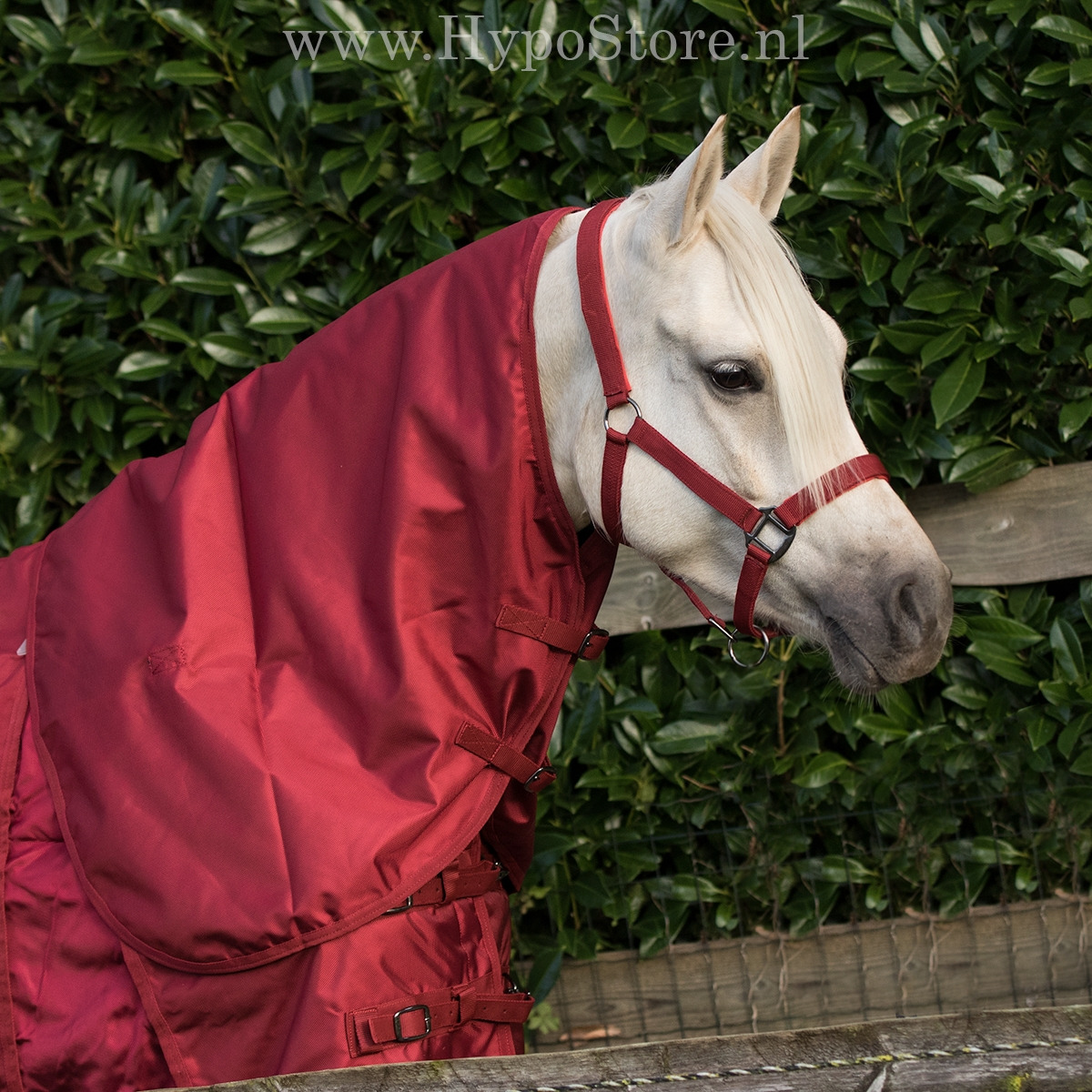 MASTER metallic red combi neck