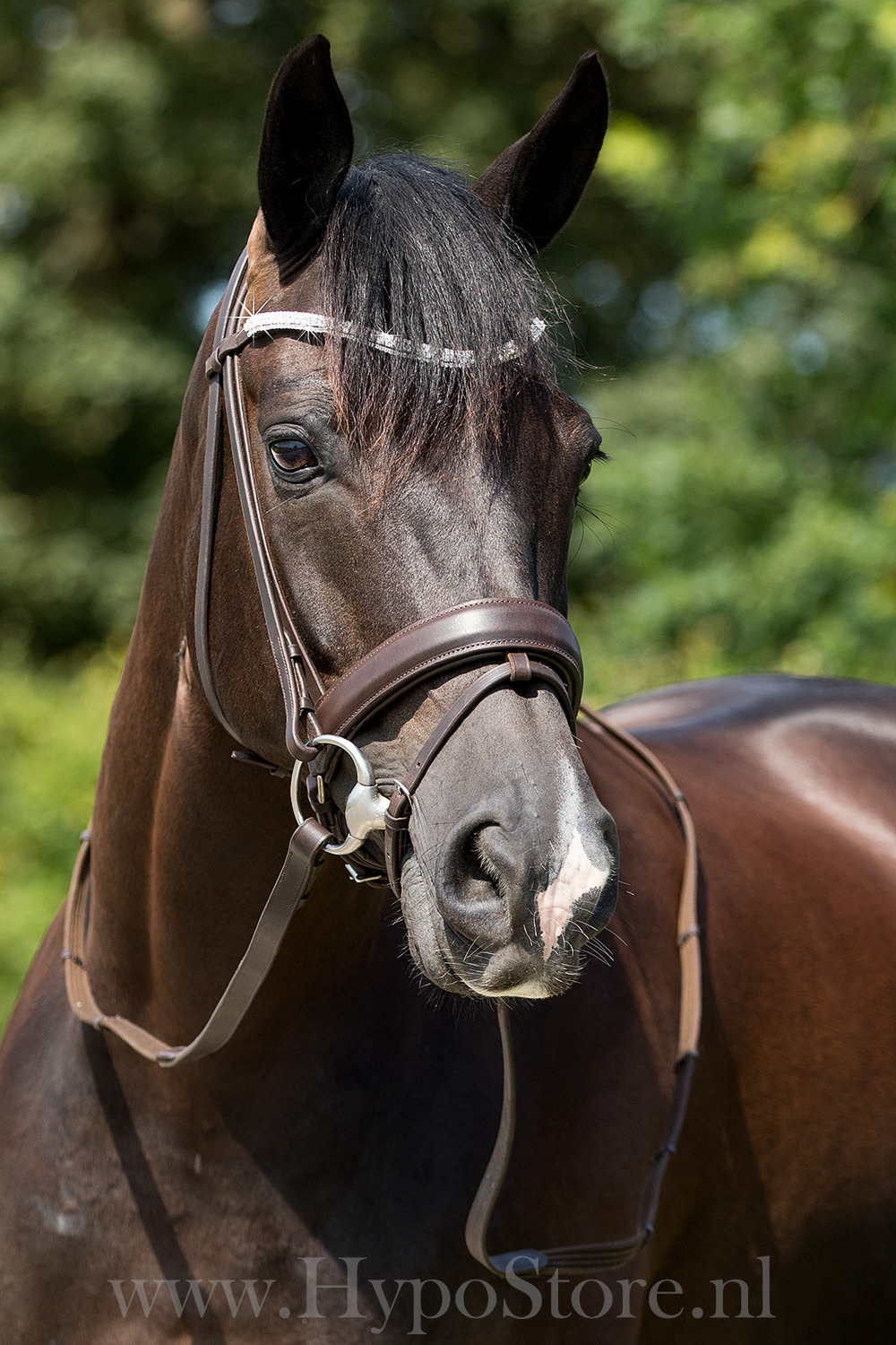 Premiera "Valentia" brown bridle with bling browband, silver hardware