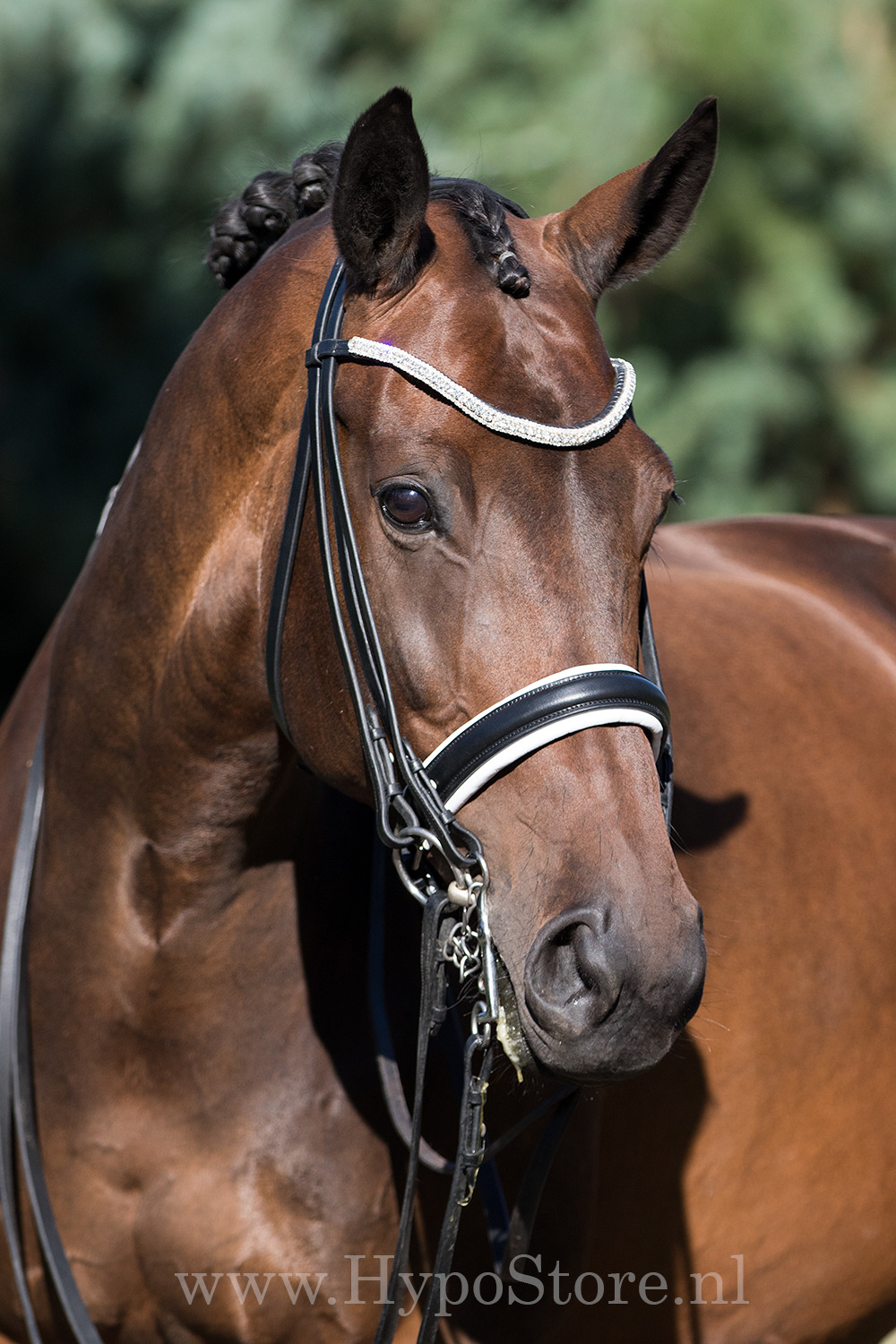 Premiera ''Levanto'' Black / White padded double bridle with crystal browband