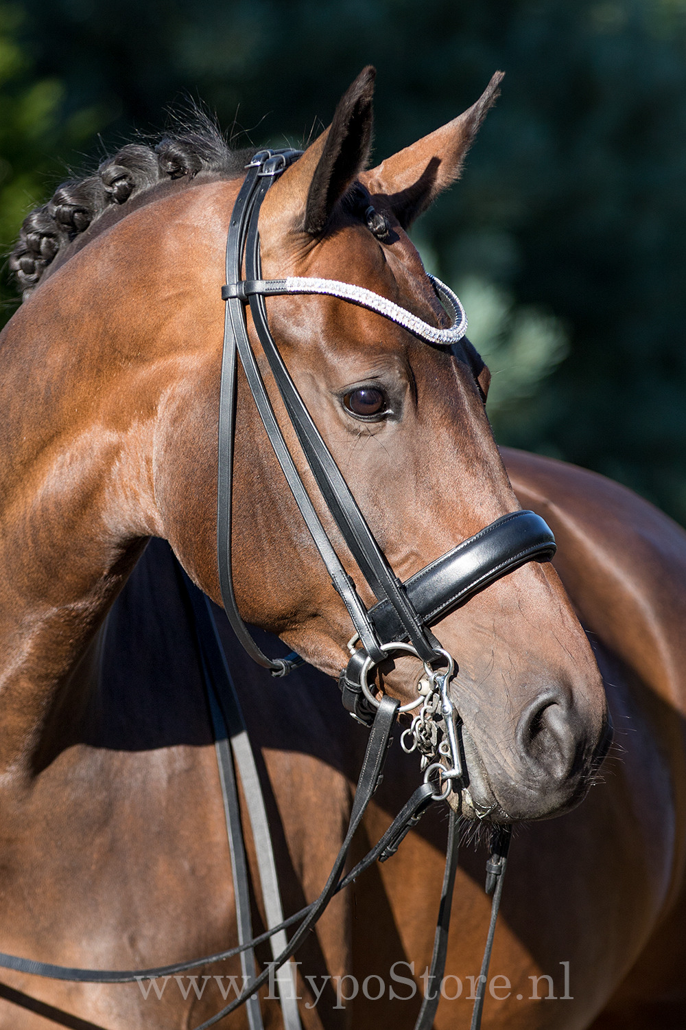Premiera "Levanto" Black Double Bridle with Bling Browband