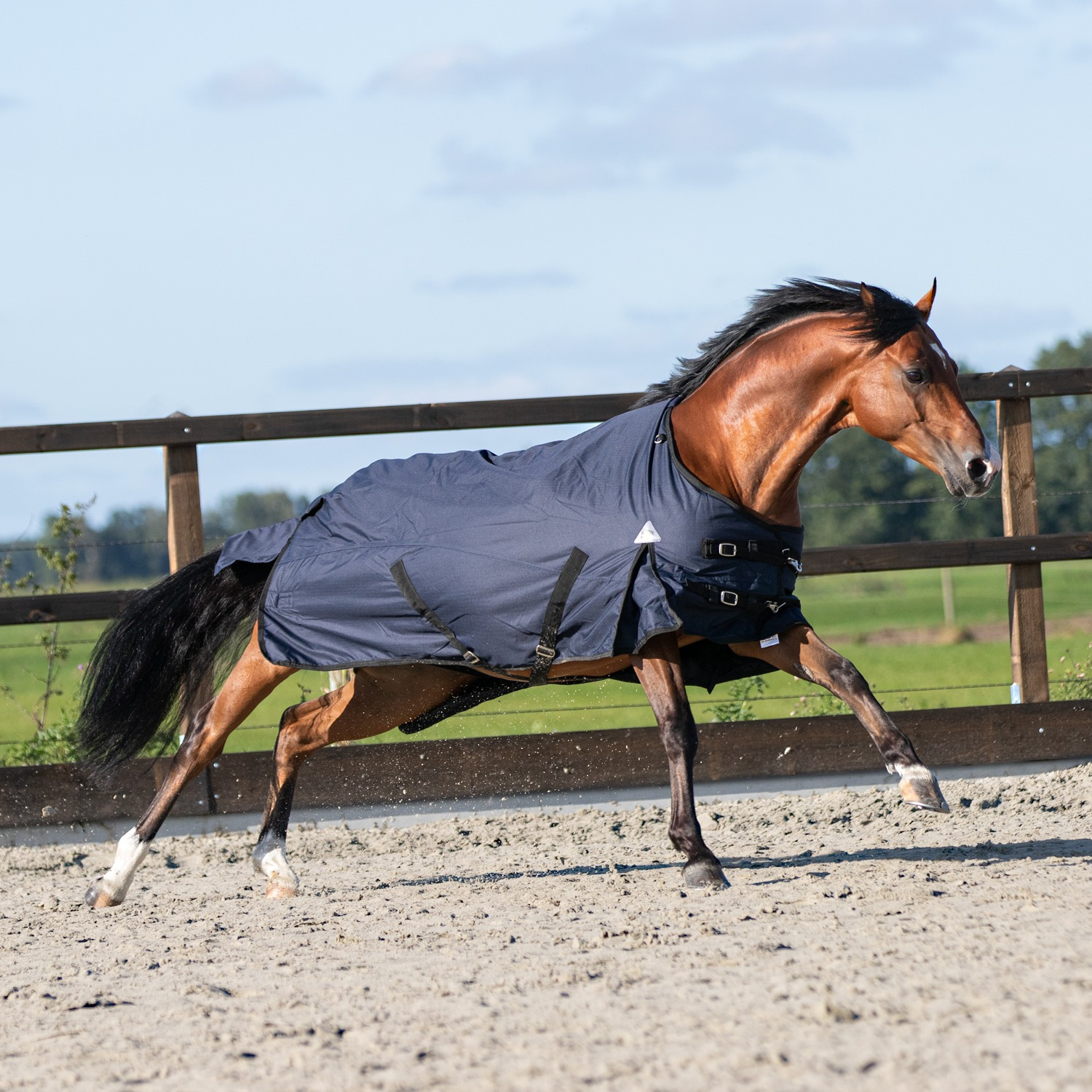 MASTER Winter Rug 600D 300g Navy