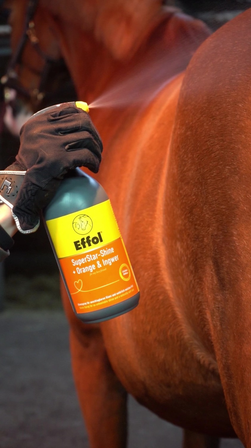 Effol SuperStar Glanz Orange-Ingwer