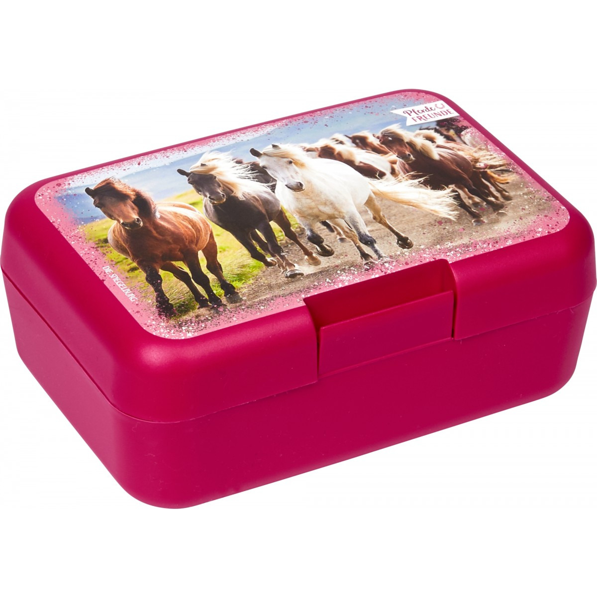 Horse Friends Lunch Box