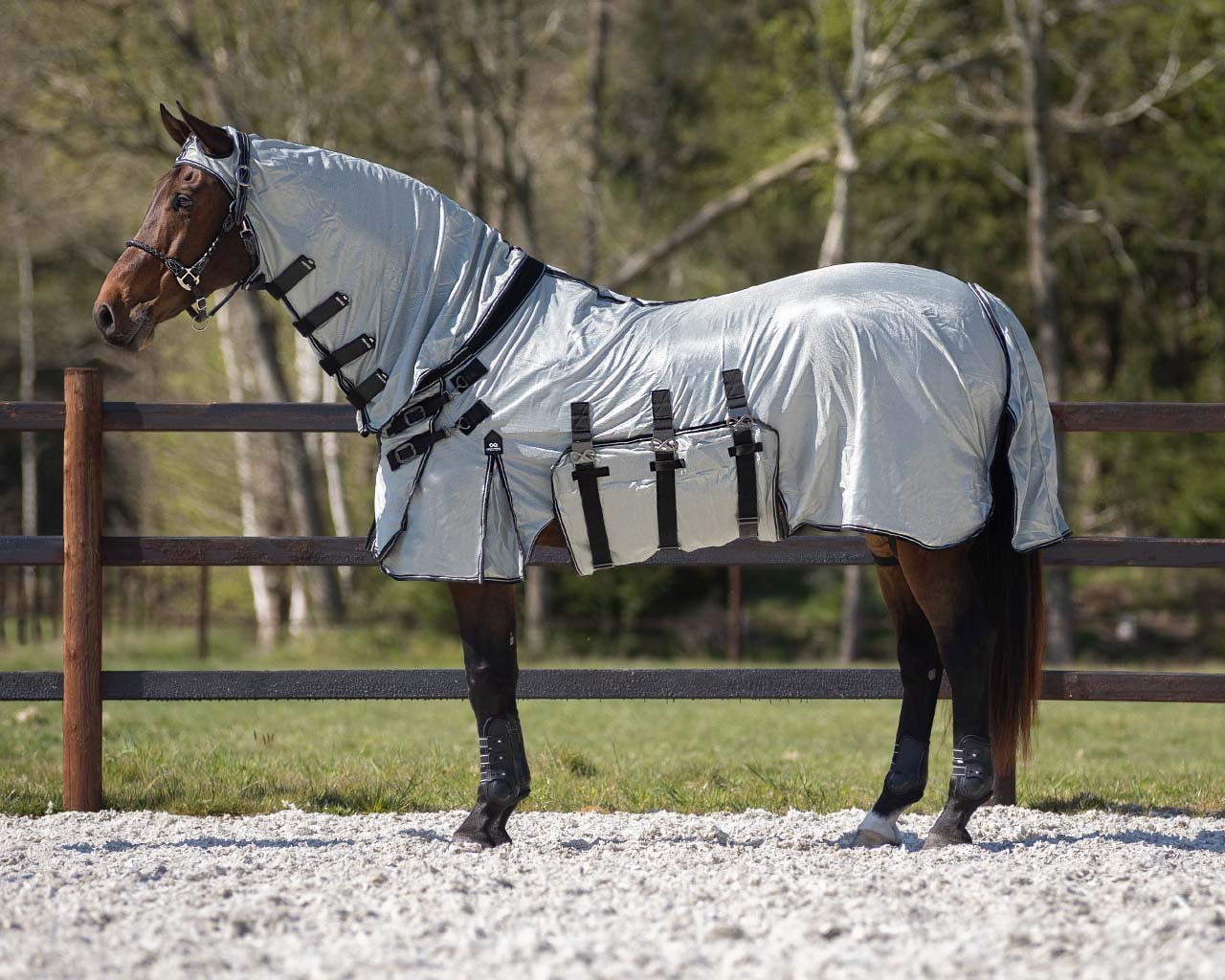 PresTeq Fly Rug SmartProtection Big Neck