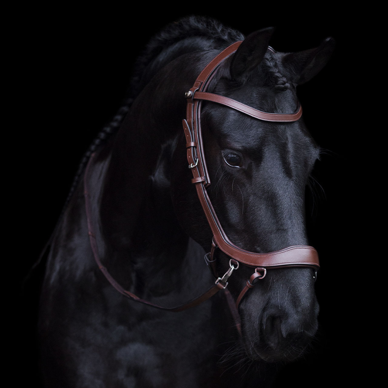 PresTeq Bitless Bridle FaySport
