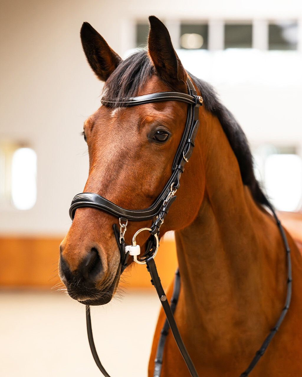 PresTeq Hoofdstel FaySport Classic
